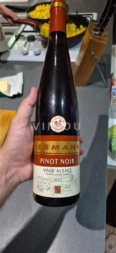 Alsazia Non specificato Rebmann Pinot Noir 2023