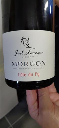 Vin Rouge sec Côte du Py Joël Lacoye 2021 France Beaujolais Morgon AOC