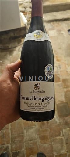 Burgundy Coteaux Bourguignons La Burgondie 2020