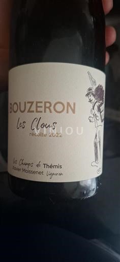 Burgundy Bouzeron Les Champs de Thémis Les Clous 2022