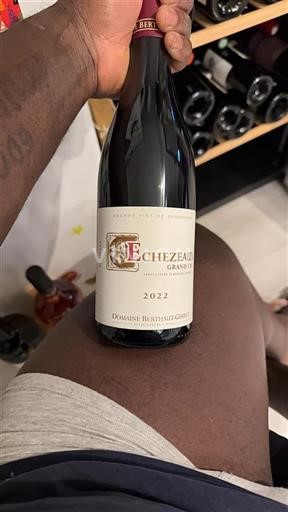 Borgogna Échézeaux Grand Cru Domaine Berthaut-Gerbet 2022