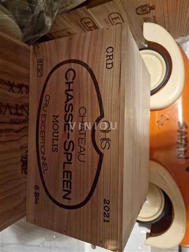 Bordeaux Non specificato Château Chasse-Spleen 2021