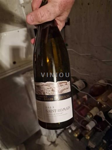 Bourgogne Saint-Romain Domaine Henri et Gilles Buisson Sous La Velle 2013