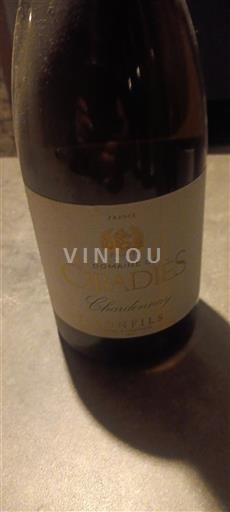 Languedoc Unspecified Domaine Cibadiès Chardonnay 2022