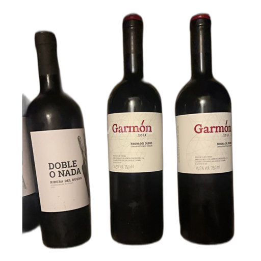 Vin Rouge sec Garmón 2021 Espagne Castille et León Ribera del Duero DO