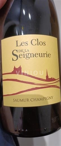 Valle della Loira Saumur-Champigny Les Clos de la Seigneurie 2022