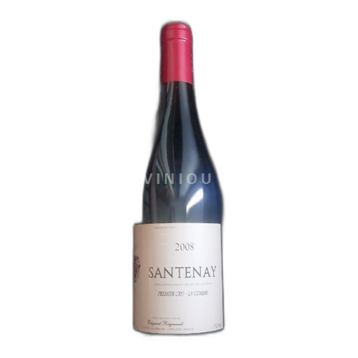 Bourgogne Santenay Premier Cru Edgard Régnault Premier Cru - La Comme 2008