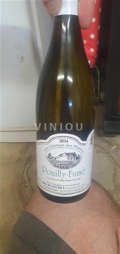 Valle della Loira Pouilly-fumé Les Champs des Plantes 2024