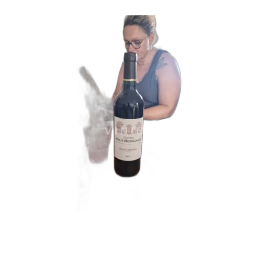 Vin Rouge sec Château Haut-Bernones 2017 France Bordeaux Haut-Médoc AOC