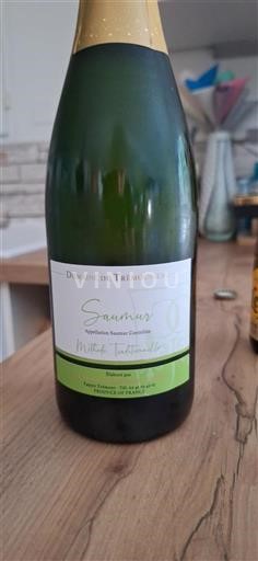 Valle del Loira Saumur Domaine Trémousseau Sin añada