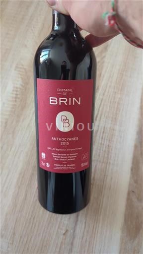 Jugozahod Gaillac Domaine Brin Anthocyanes 2015