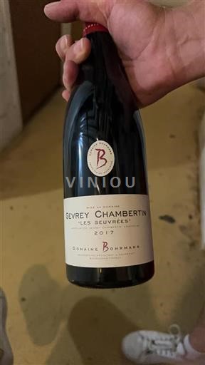 Borgogna Gevrey-Chambertin Domaine Bohrmann Les Seuvrées 2017