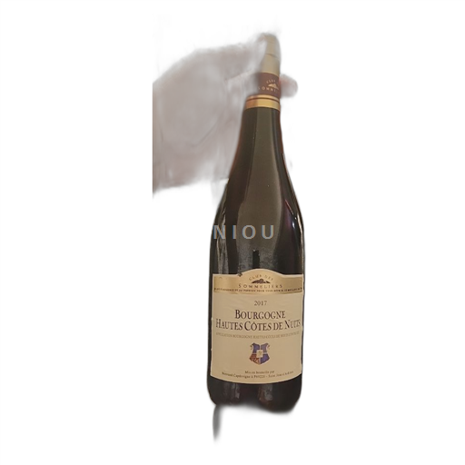Vin Rouge sec Bertrand Capdevigne 2017 France Bourgogne AOC