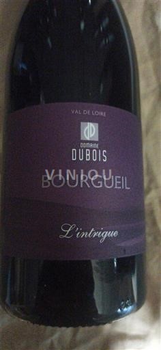 Vallée de la Loire Bourgueil Domaine Dubois L'intrigue Non Millésimé