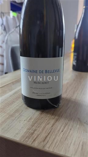 Vallée de la Loire Muscadet Domaine Bellevue 2020