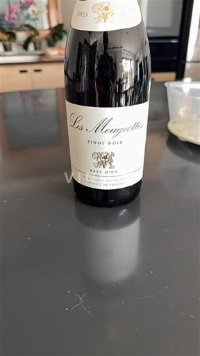 Linguadoca e Rossiglione Paese d'Oc Les Mougeottes Pinot Noir 2023