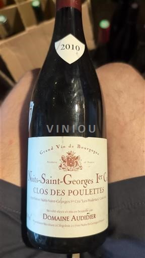 Borgogna Nuits-Saint-Georges Premier Cru Domaine Audidier Clos des Poulettes 2010