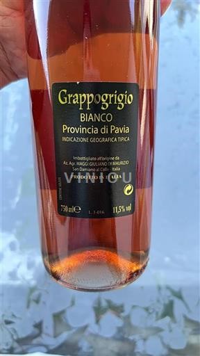 Lombardia Non specificato Az. Agr. Maggi Giuliano di Maurizio Grappogrigio Senza annata