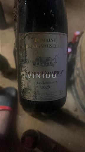 Loire Valley Saumur-Champigny Domaine Des Damoiselles Les Tennières 2020