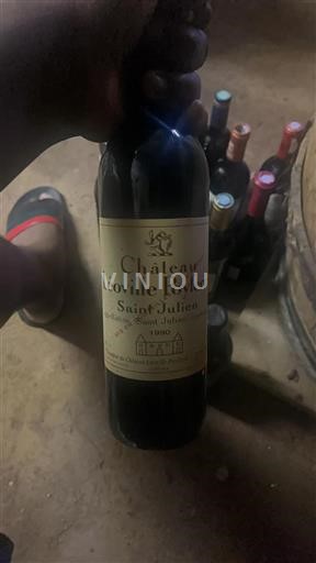 Vin Rouge sec Léoville Poyferré 1990 France Bordeaux Saint-Julien Grand Cru