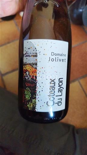 Valle del Loira Coteaux-du-Layon Domaine Jolivet Sin añada