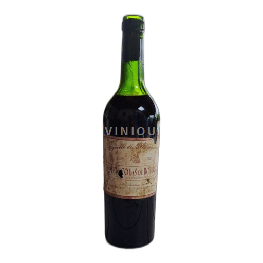 Loire-dalen Saint-Nicolas-De-Bourgueil Vignoble de la Chevalerie 2020