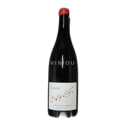 Vallée de la Loire Saint-Nicolas-De-Bourgueil Domaine La Cotelleraie L'Envolée 2019