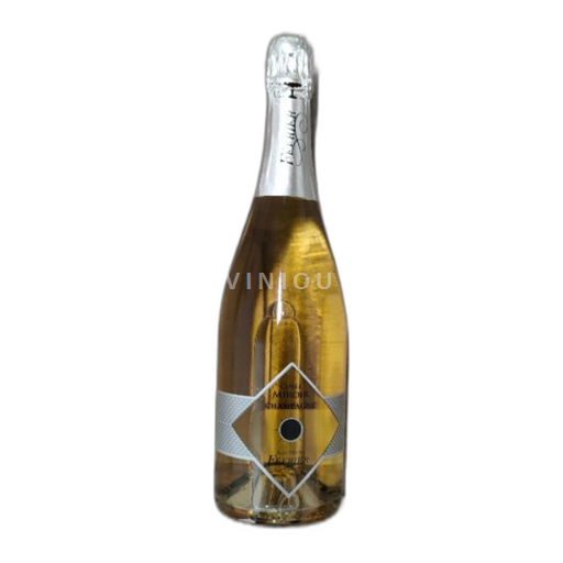 Champagne Šampanské Jean-Marie Février Miroir Neročník