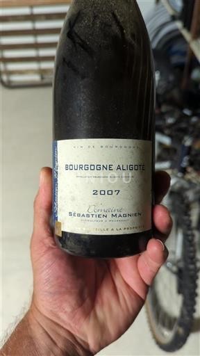 Borgogna Borgogna Aligoté Domaine Sébastien Magnien 2007