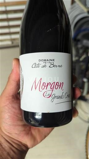 Beaujolais Morgon Domaine La Côte de Berne Les Grands Cras 2023