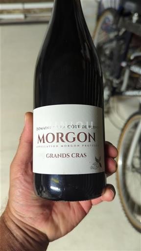 Beaujolais Morgon Domaine La Côte de Berne Grands Cras 2022