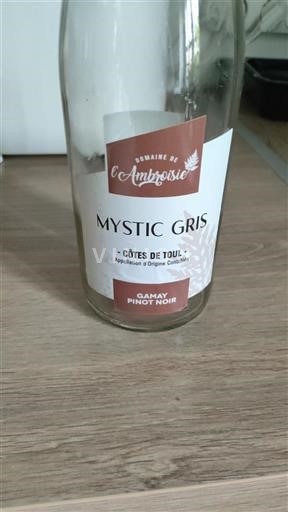 Lorraine Côtes de Toul Domaine L'Ambroisie Mystic Gris 2023