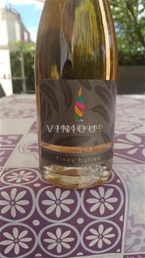 Vale do Loire Não especificado Angelliaume Fines Bulles Não Sazonado