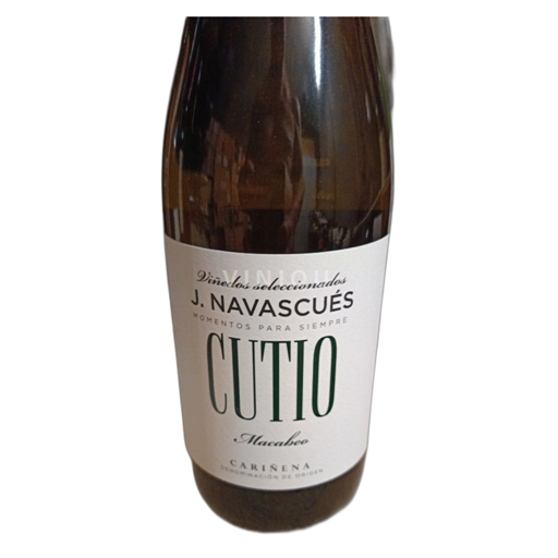 Aragon Carinena J. Navascués Cutio 2021