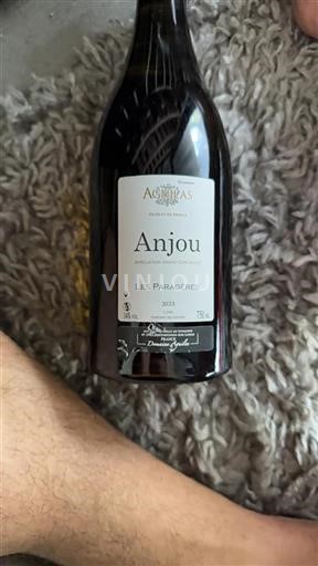 Vin Rouge sec Les Paragères Domaine Aguillas 2023 France Vallée de la Loire Anjou