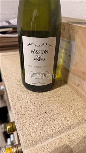 Mendoza Non specificato Passion de los Andes Sauvignon Blanc 2017