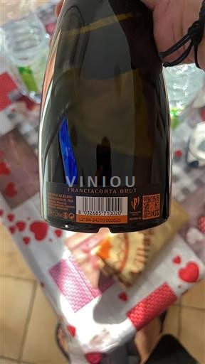 Lombardia Franciacorta Bellavista Franciacorta Brut Senza annata