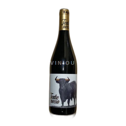 Kastilien och León Toro Tente Necio 2021