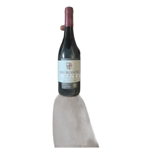 Bourgogne Dambach La Ville 2021