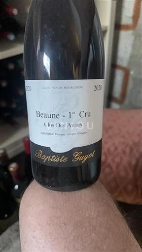 Borgogna Non specificato Premier Cru Baptiste Guyot Clos Des Avaux 2020