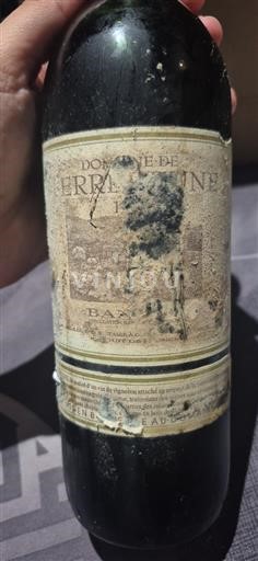 Provenza Bandol Domaine Terrebrune 1999