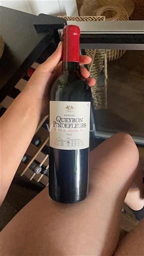 Bordeaux Saint-Émilion Grand Cru Château Queyron Pindefleurs 2012