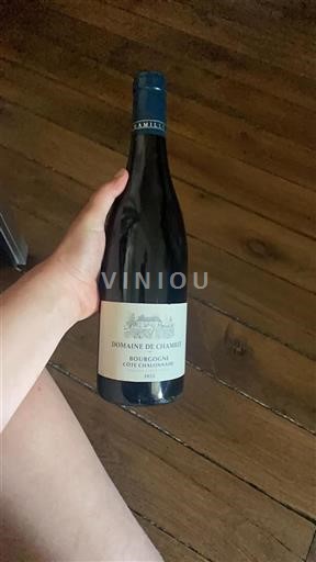 Burgundsko Nespecifikováno Domaine Chamilly 2022
