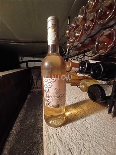 Bordeaux Bordeaux rosé Mouton Cadet Non Millésimé