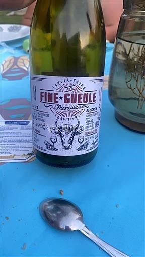 Vin Rouge sec Fine Gueule Franck Guillot Non millésimé France Bourgogne