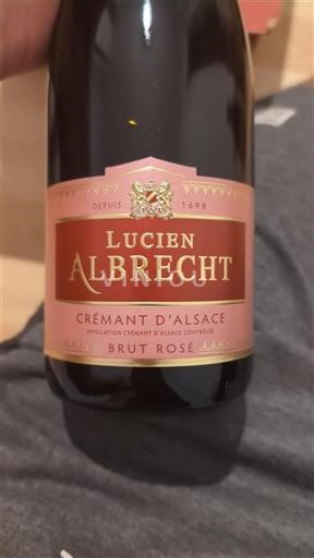 Alsazia Crémant d'Alsazia Château Lucien Albrecht Brut Rosé Senza annata