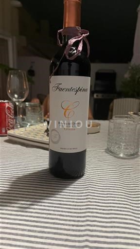 Castile and León Ribera del Duero Fuentespina Crianza 2022