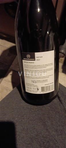 Languedoque Não especificado French Bouledogue Pinot Noir 2023