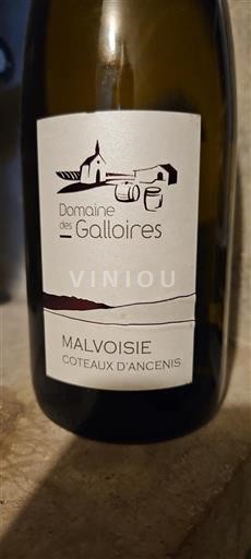 Loire Valley Coteaux d'Ancenis Domaine Des Galloires Malvoisie 2016