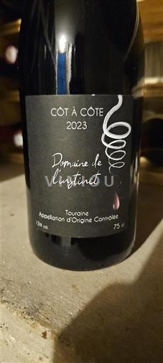 Valle della Loira Touraine Domaine L'instinct Côt à Côté 2023